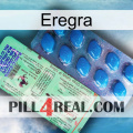 Eregra new02